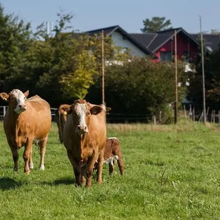 Landgasthof Gut Marienbildchen 게스트하우스