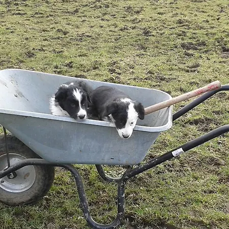 Landgasthof Gut Marienbildchen 로에트겐