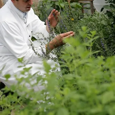 Penzion Landgasthof Gut Marienbildchen 3*