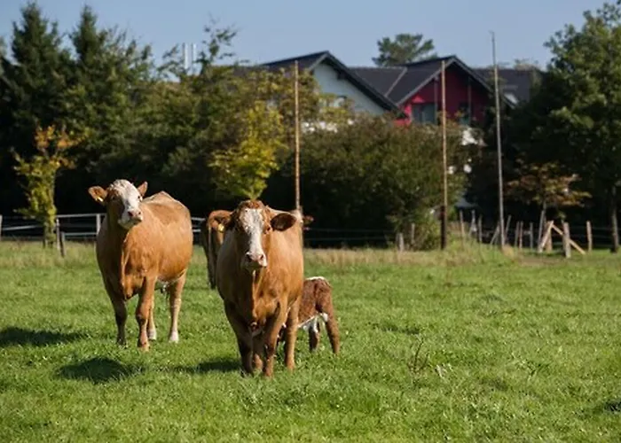 Landgasthof Gut Marienbildchen Guest house