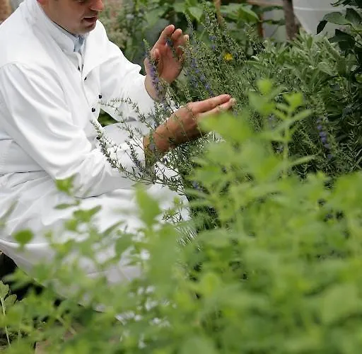 Konukevi Landgasthof Gut Marienbildchen 3*